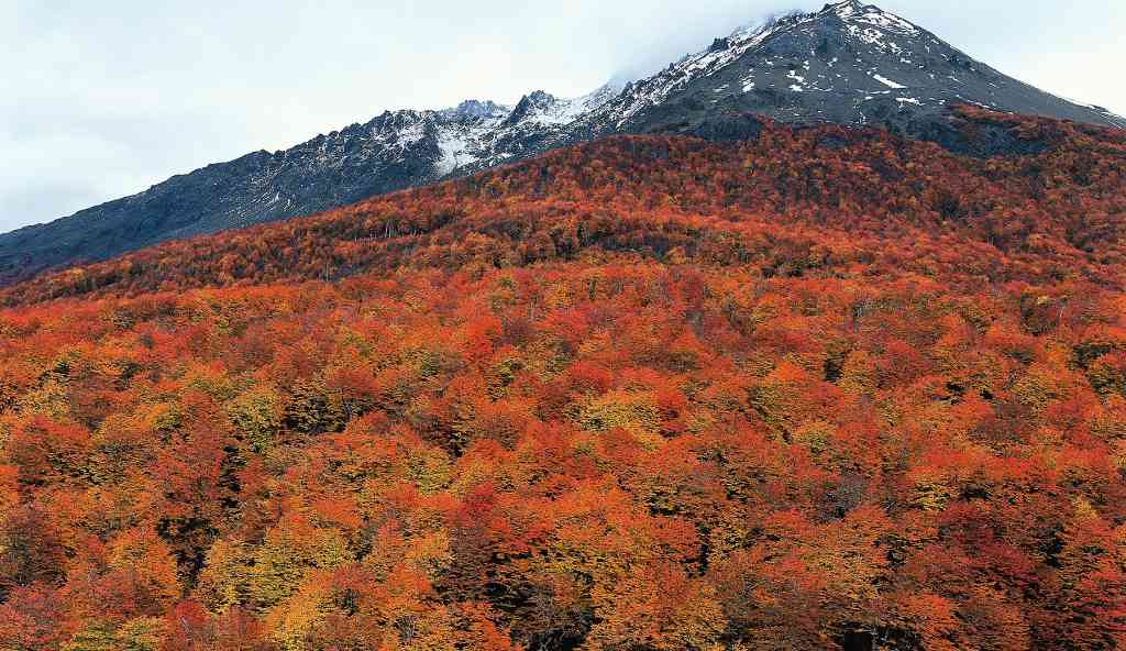 cerro-castillo-1