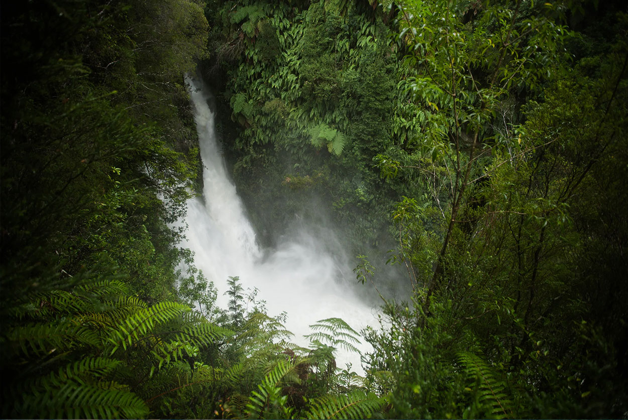 parque-pumalin